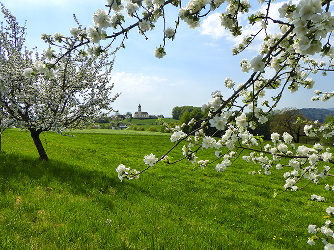 Wanderungen durch den Frühling 