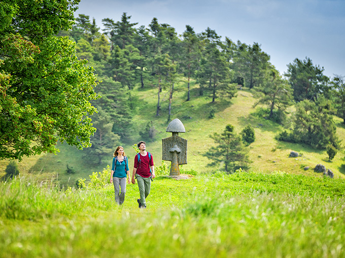 Wandern im Frühling