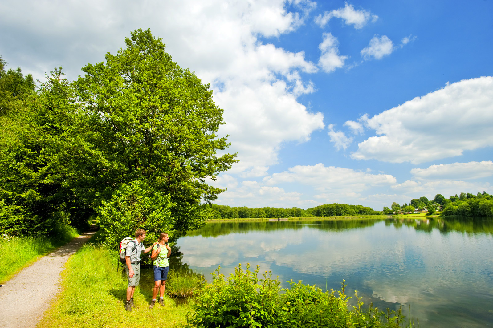 Wandern im Frühling