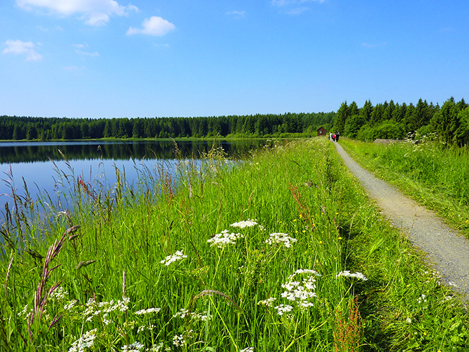 Wandern im Frühling