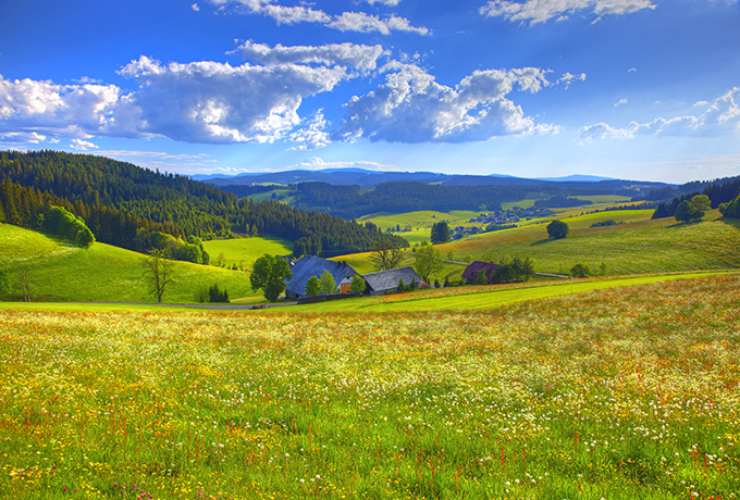 Wandern im Frühling