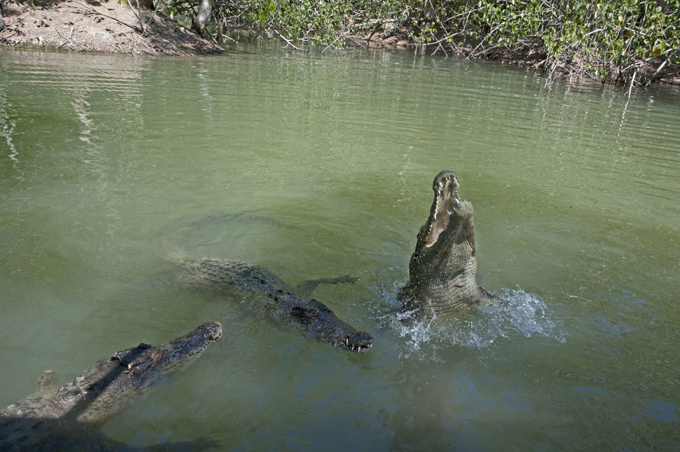 Australien, Queensland