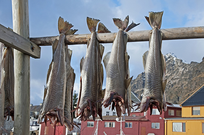 Lofoten