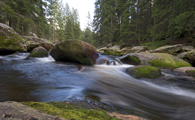 Wandern im Frühling