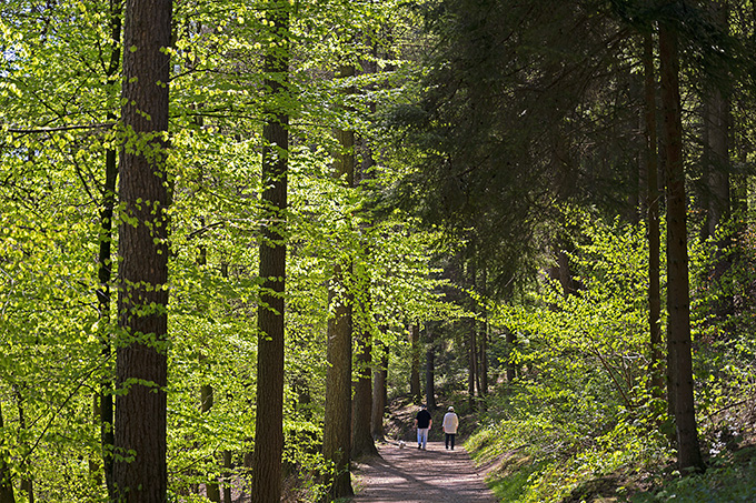 Wandern im Frühling