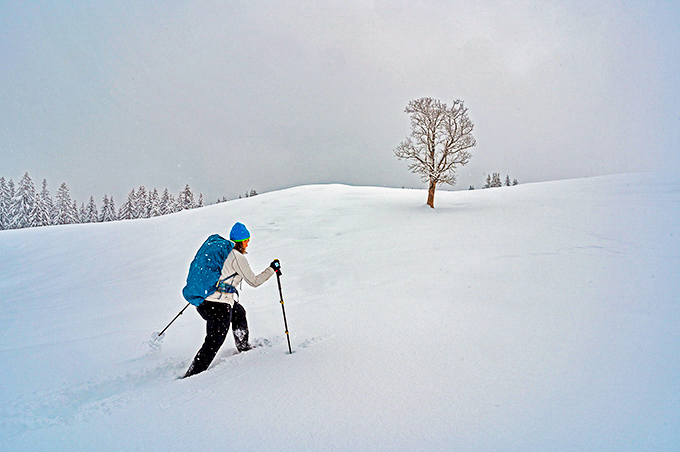 Chiemgau