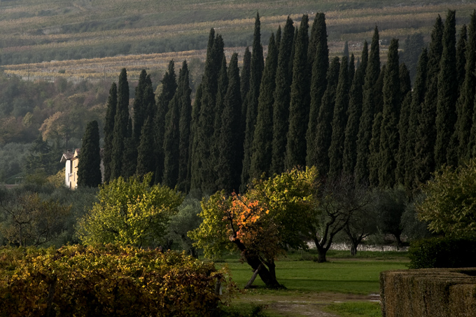 Italien, Valpolicella