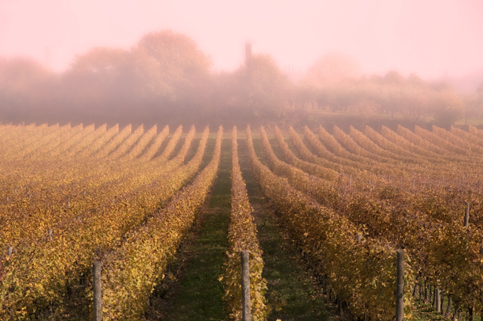 Italien, Valpolicella