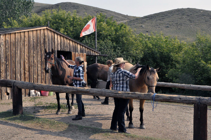 Cowboy-Feeling in Kanada