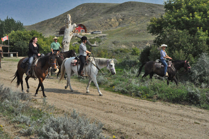 Cowboy-Feeling in Kanada