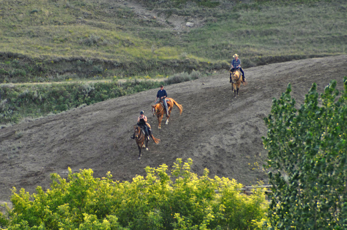 Cowboy-Feeling in Kanada